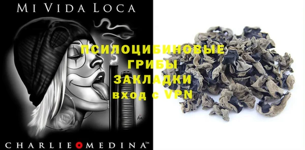 мдпв Верея