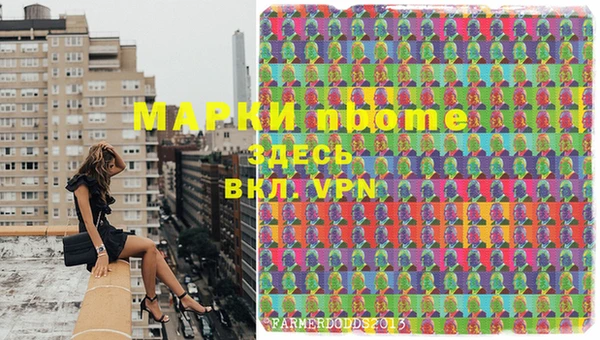 мдпв Верея