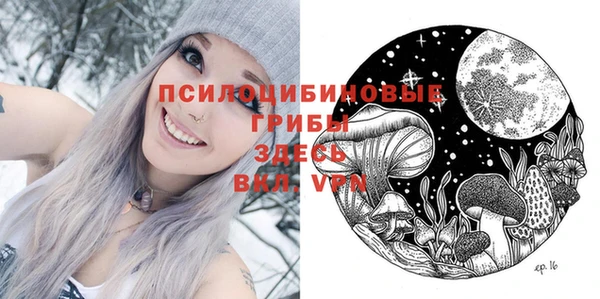 mdpv Верхний Тагил