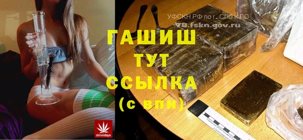 мдпв Верея