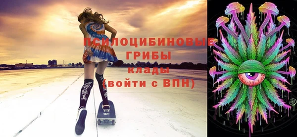 mdpv Верхний Тагил