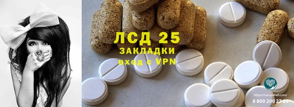 мдпв Верея