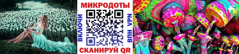 площадка телеграм  Ангарск  Галлюциногенные грибы Psilocybine cubensis  цена  